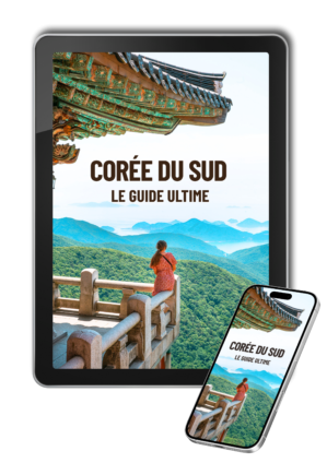 Guide ultime Corée du Sud